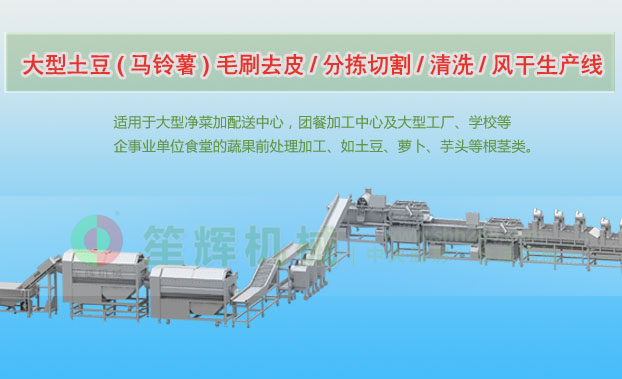 潮安连续式土豆去皮清洗切割风干生产线